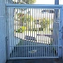 Foto 37